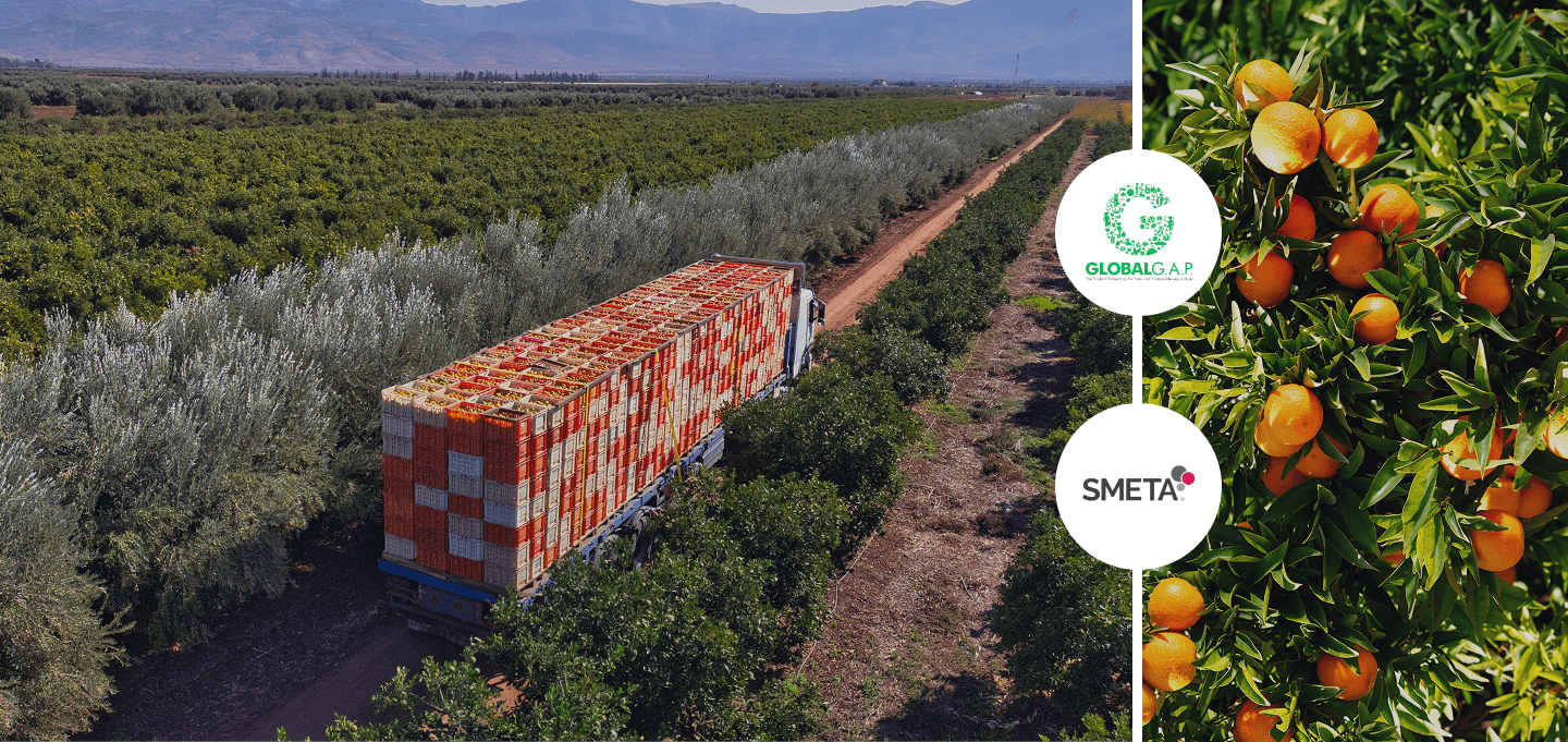 ALH Agriculture orchards and citrus fruit, with the GLOBALG.A.P. and SMETA certification logos